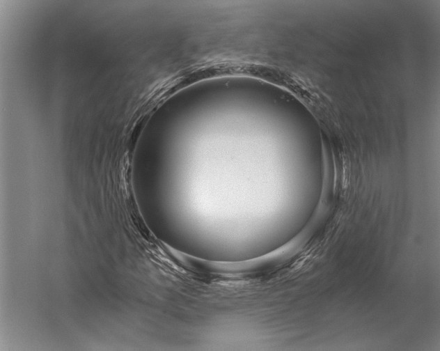 X0000056361157200509091615