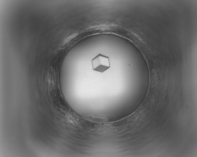 X0000056361158200509091615