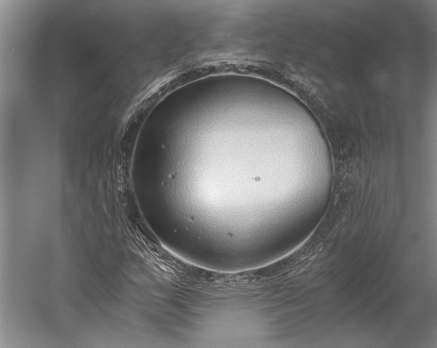 X0000056361159200509091615