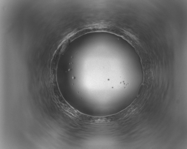 X0000056361160200509091615