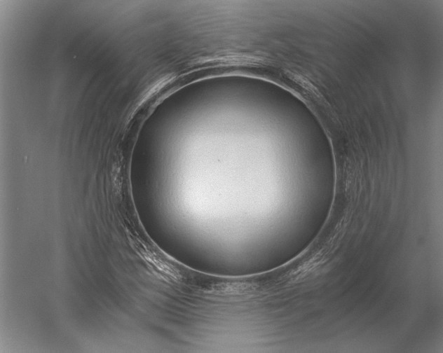 X0000056361163200509091615