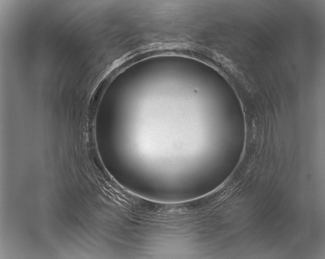 X0000056361165200509091615