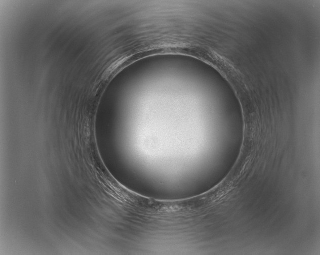 X0000056361169200509091615