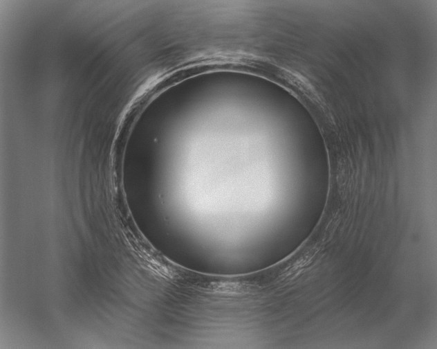 X0000056361172200509091615