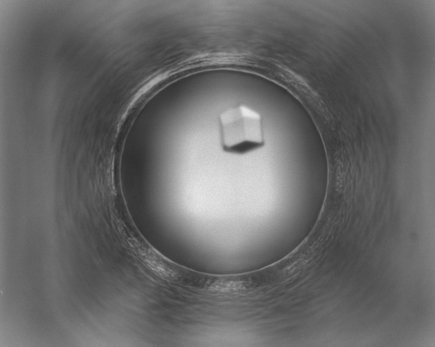 X0000056361174200509091615