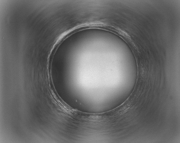 X0000056361176200509091615