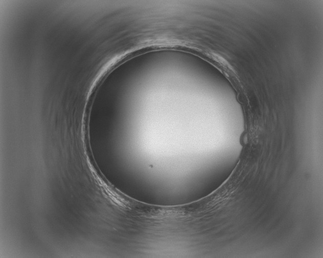 X0000056361183200509091614