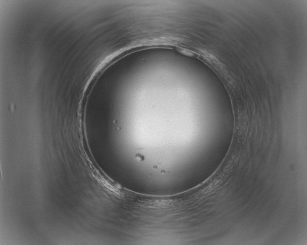 X0000056361184200509091614