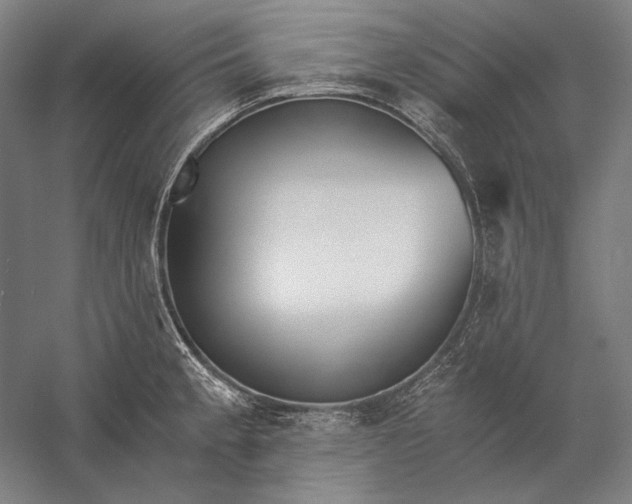 X0000056361189200509091614