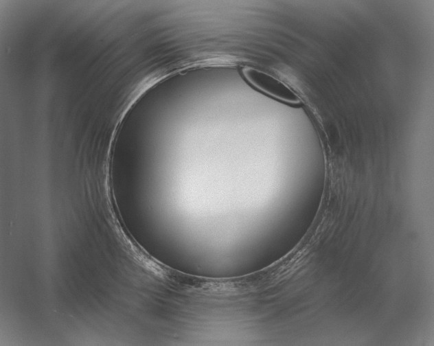 X0000056361194200509091614