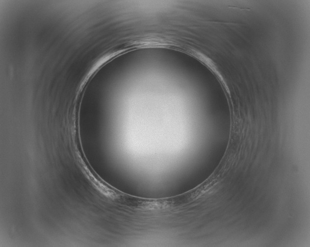 X0000056361195200509091614