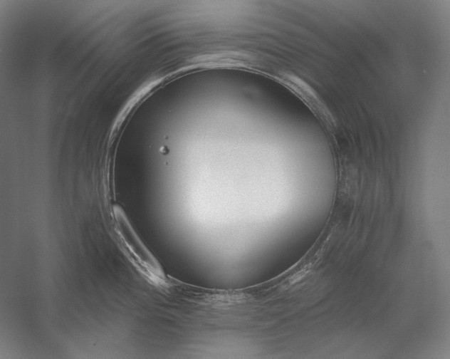 X0000056361196200509091614