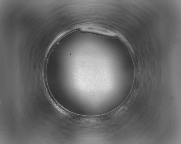 X0000056361197200509091614