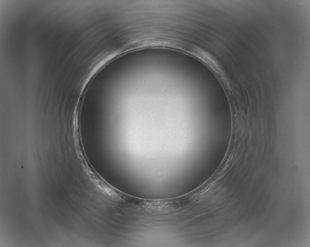 X0000056361198200509091614