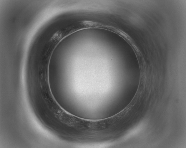 X0000056361199200509091614