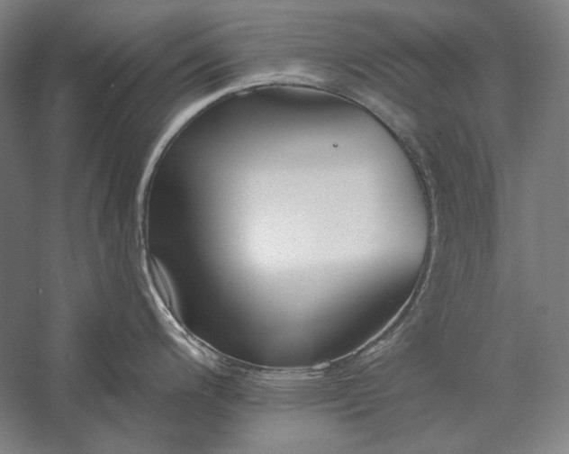 X0000056361200200509091614