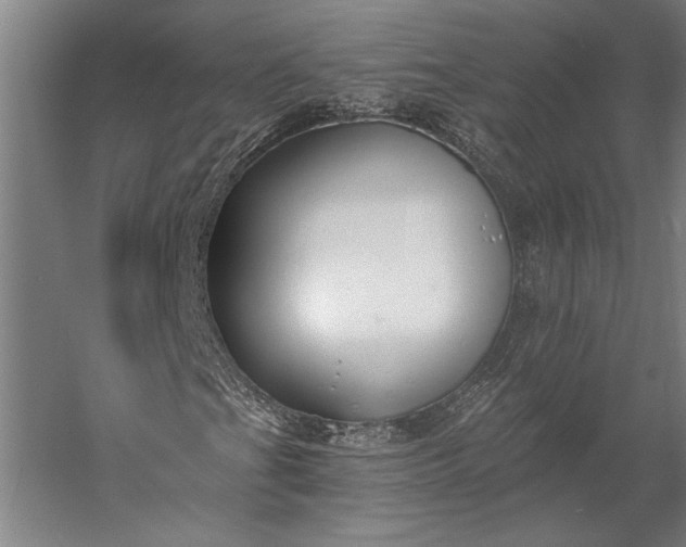 X0000056361201200509091613