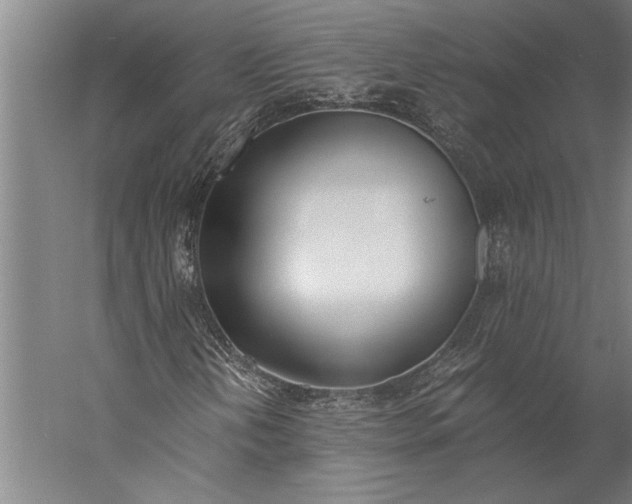 X0000056361202200509091613