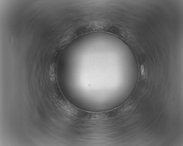 X0000056361203200509091613