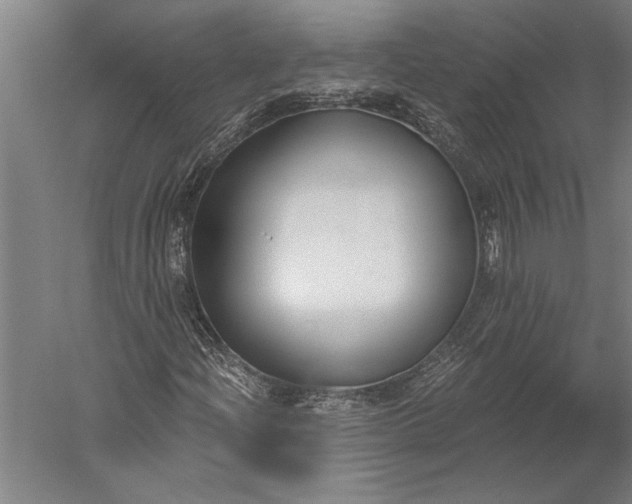 X0000056361204200509091613