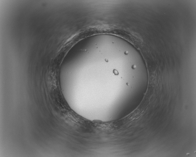 X0000056361205200509091613