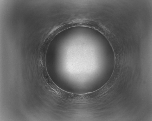 X0000056361206200509091613