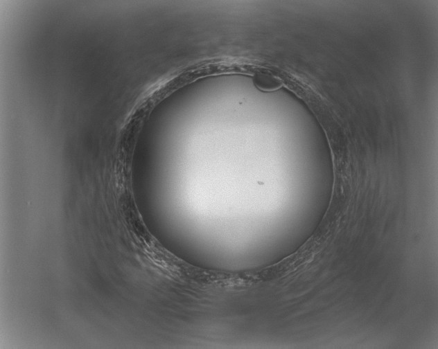 X0000056361207200509091613