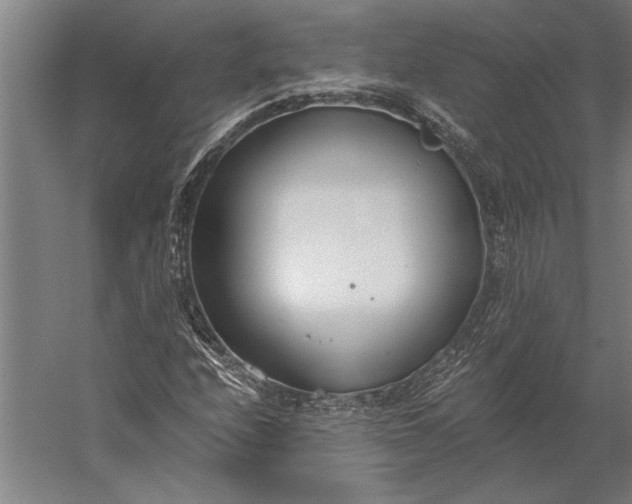 X0000056361208200509091613