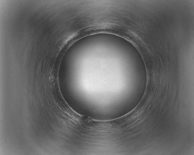 X0000056361210200509091614