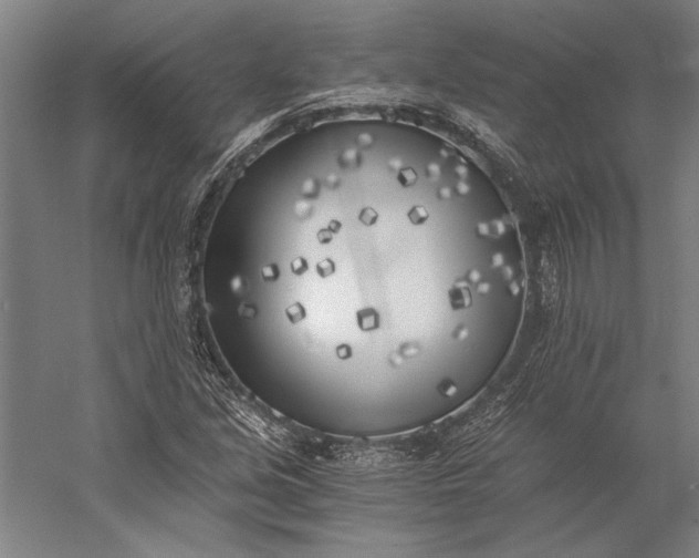 X0000056361213200509091614