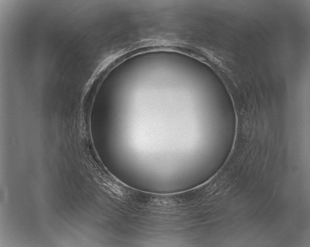 X0000056361215200509091614