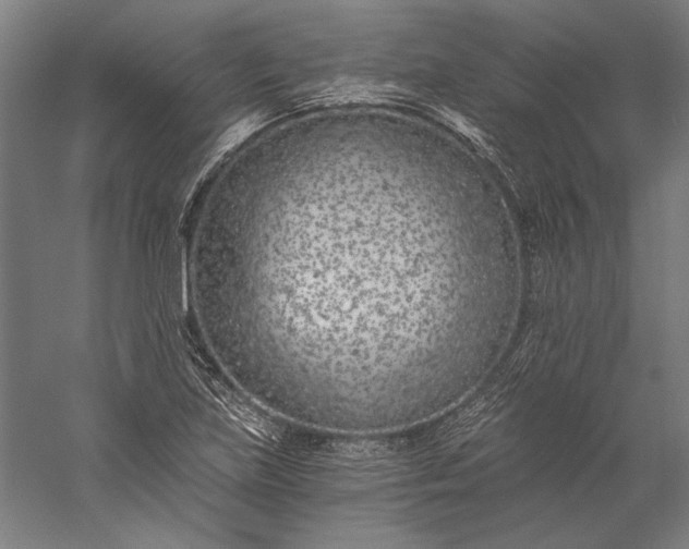 X0000056361219200509091614