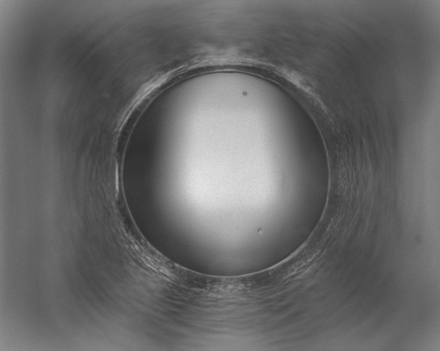 X0000056361221200509091614