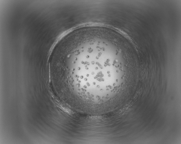 X0000056361223200509091614