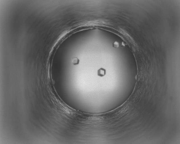 X0000056361224200509091614