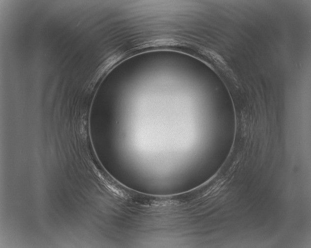 X0000056361225200509091614