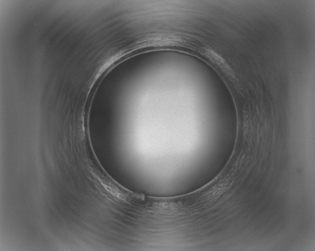 X0000056361226200509091614