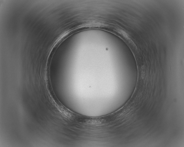 X0000056361229200509091614