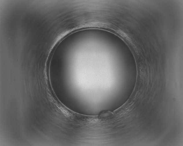 X0000056361230200509091614