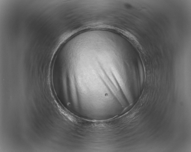 X0000056361231200509091614