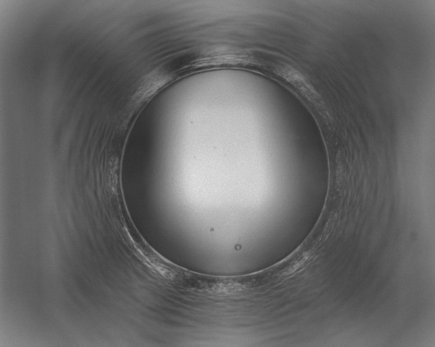 X0000056361233200509091614