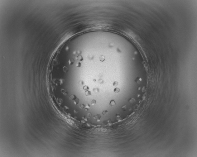 X0000056361235200509091614