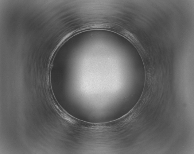 X0000056361236200509091614