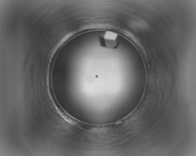 X0000056361237200509091614