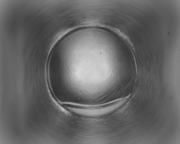 X0000056361239200509091614