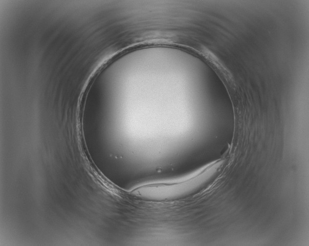 X0000056361240200509091614