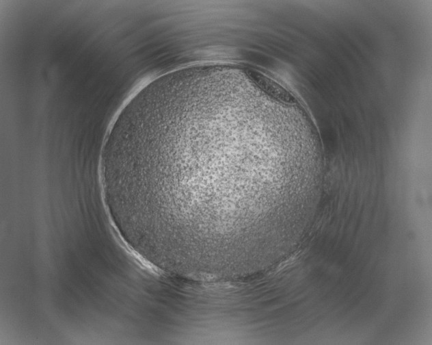 X0000056361243200509091614