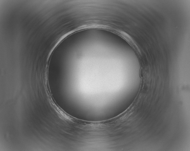 X0000056361244200509091614