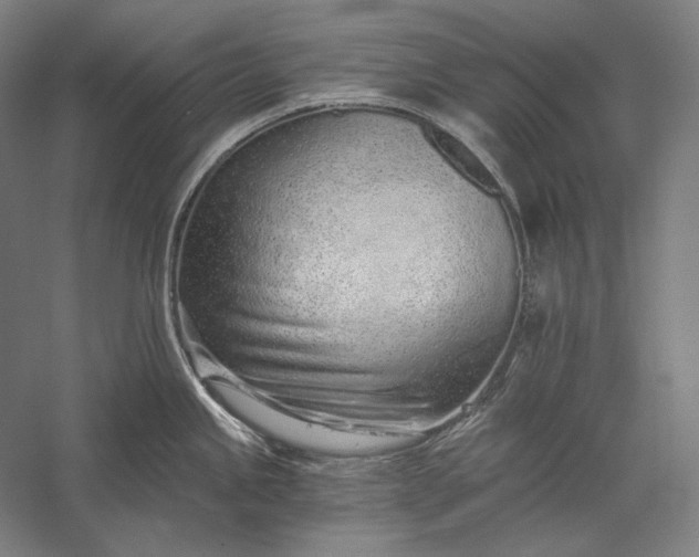 X0000056361245200509091614