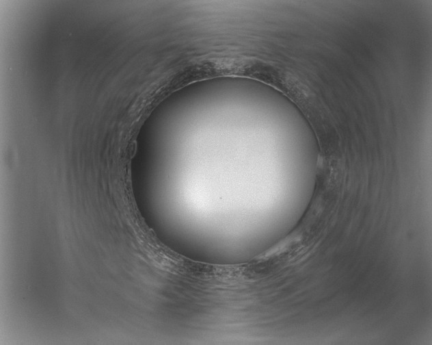 X0000056361249200509091613